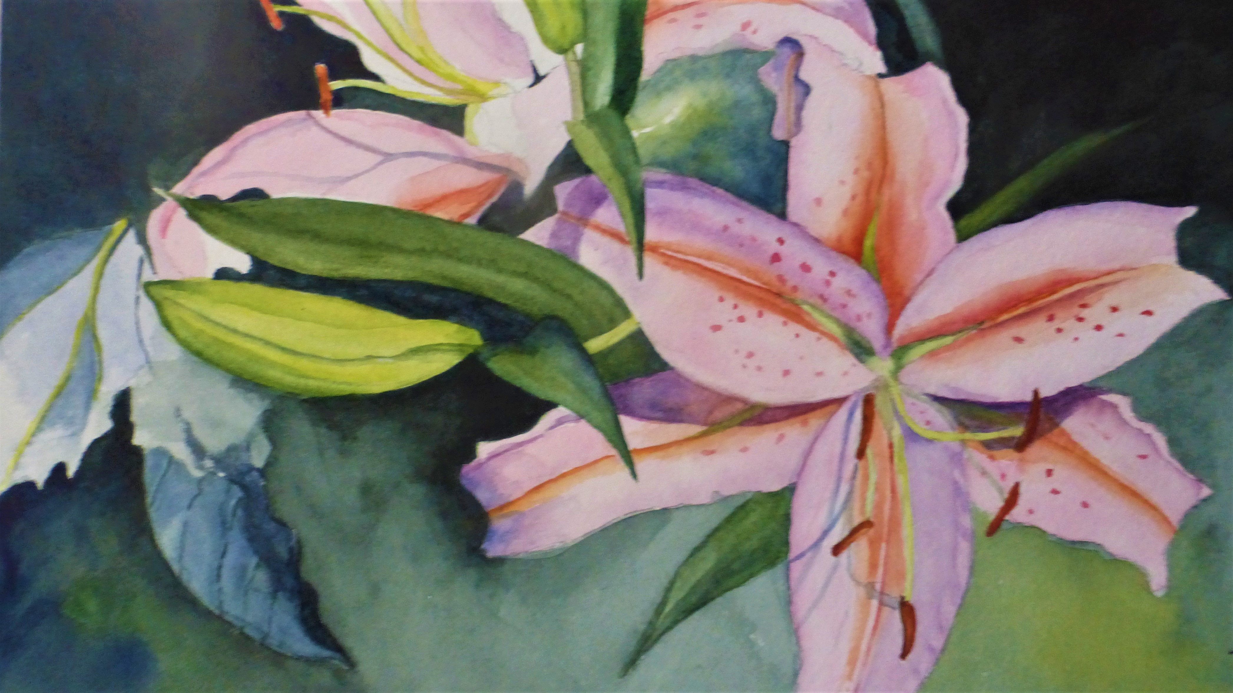 Linda Lippert