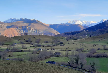 20221218_160232.jpg