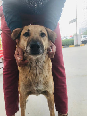 WhatsApp Image 2022-01-02 at 9.48.18 AM.jpeg