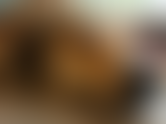 Rani - forever in our hearts