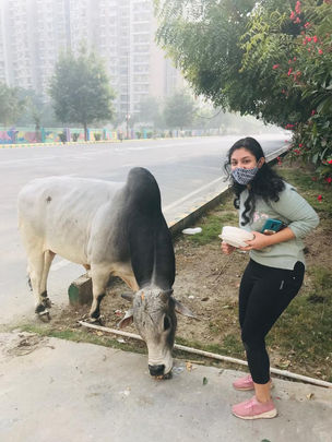 WhatsApp Image 2022-01-02 at 9.48.13 AM.jpeg