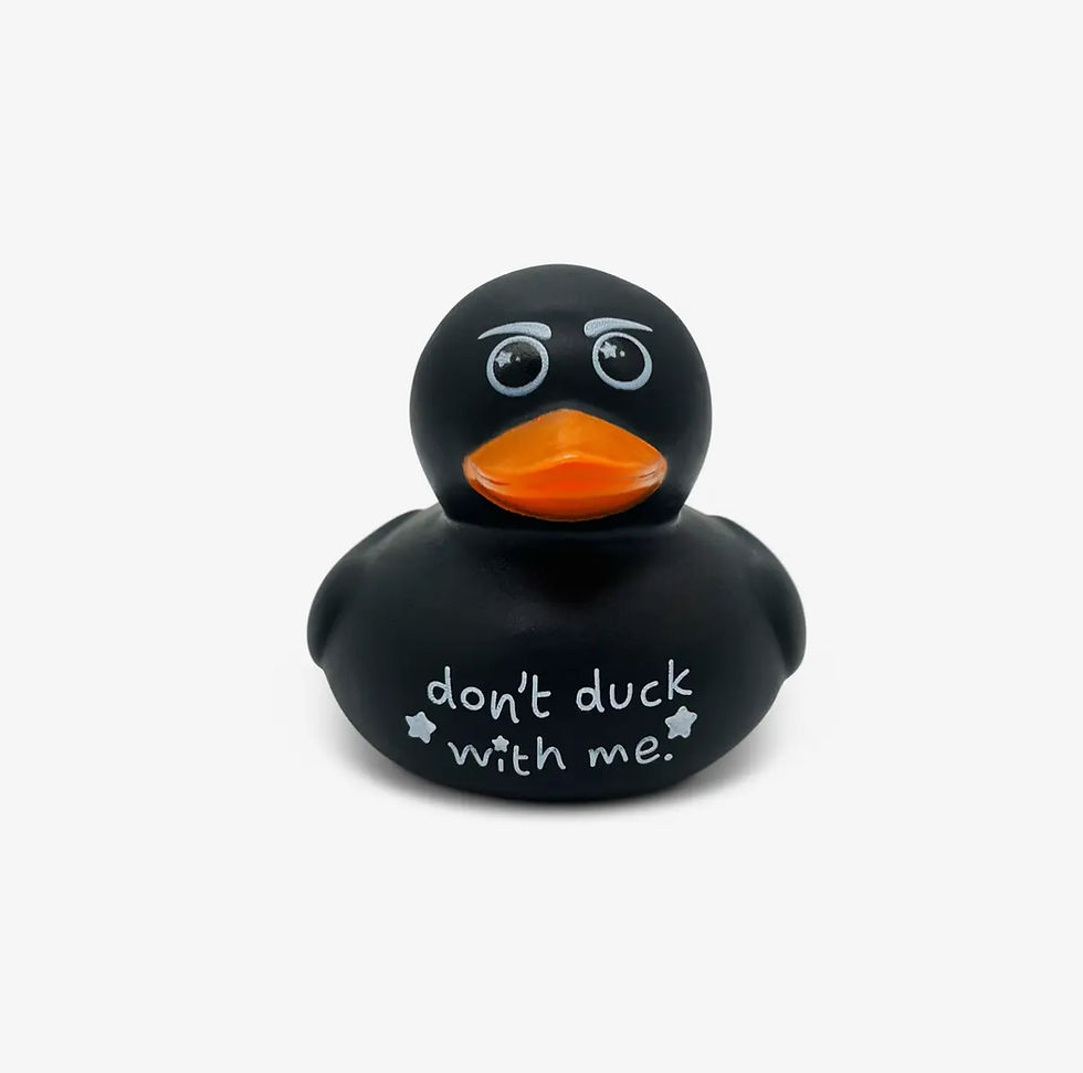 Thumbnail: 6 Piece Funny Bag-O-Ducks