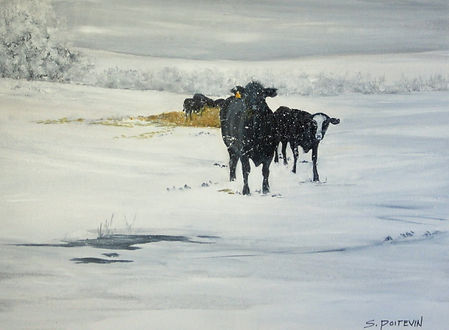 Felicity's Cows, 18x24.jpg
