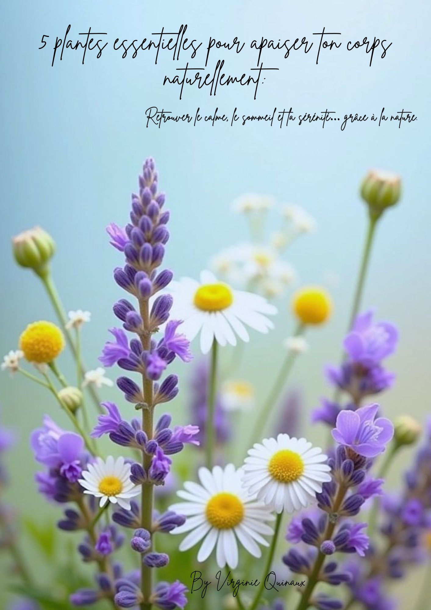 5 plantes essentielles pour apaiser ton corps naturellement