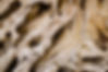 beige-wood-decor-981286.jpg