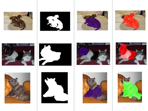 Digital Image Processing - A Unified framework for object detection and  semantic segmentation.