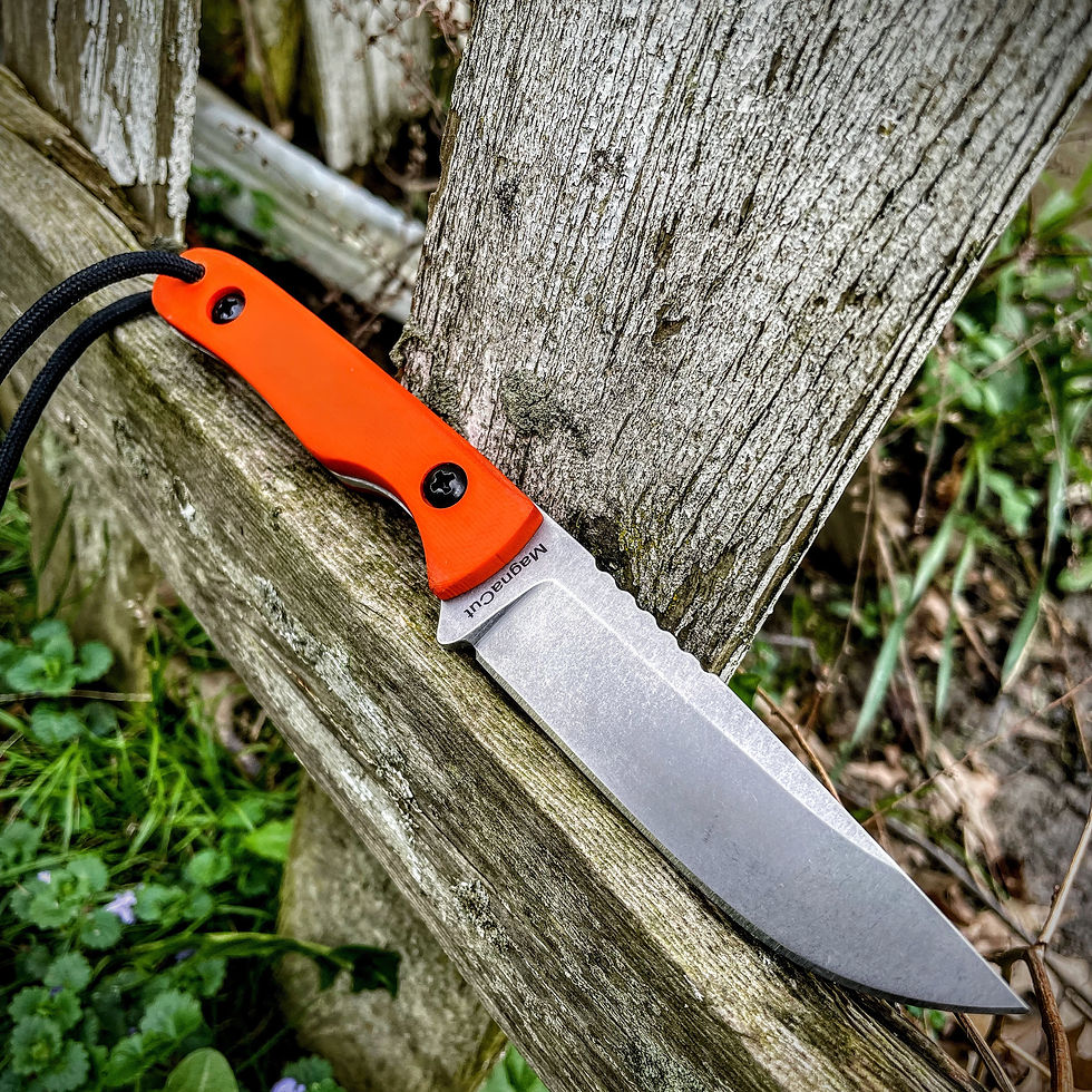 Thumbnail: FreeBird : MagnaCut steel