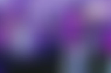 THE LIFE OF THE SPIRIT IN YOU