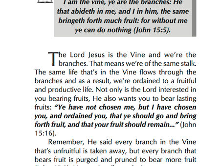 WE'RE IN THE "MUCH FRUIT" CLASS