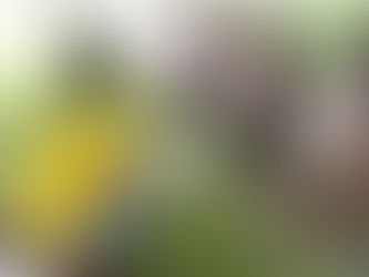 Be Active In Soul Winning