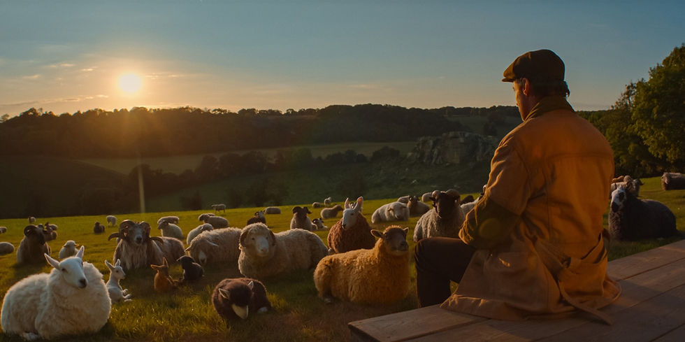 As ovelhas detetives (2026) - Georg e as ovelhas ao por do sol