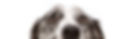 AdobeStock_275756493_edited.jpg