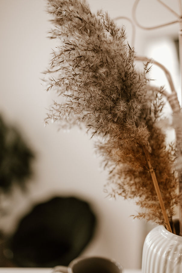 SageAndSeedPhotography-5.jpg