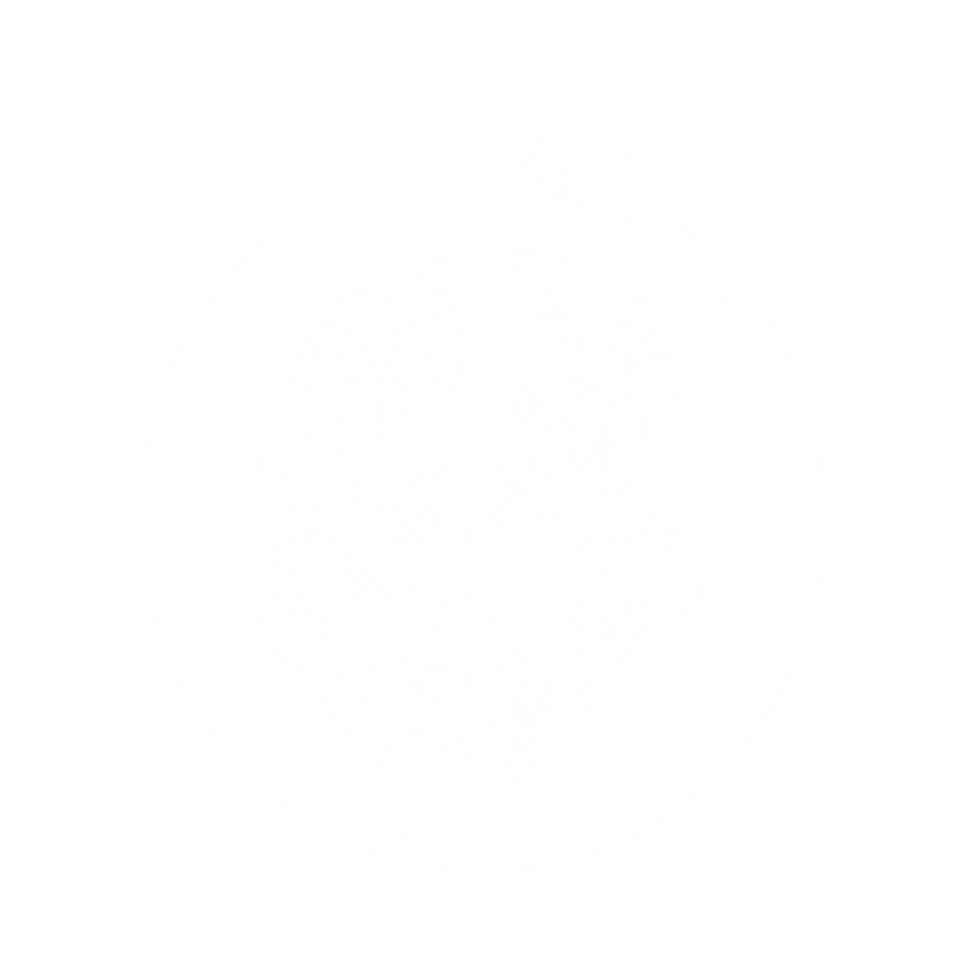 Online Modern Therapy in Ontario