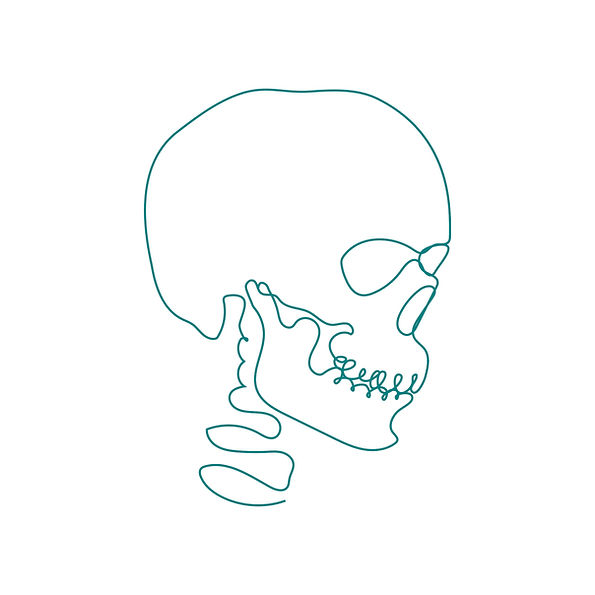 skull