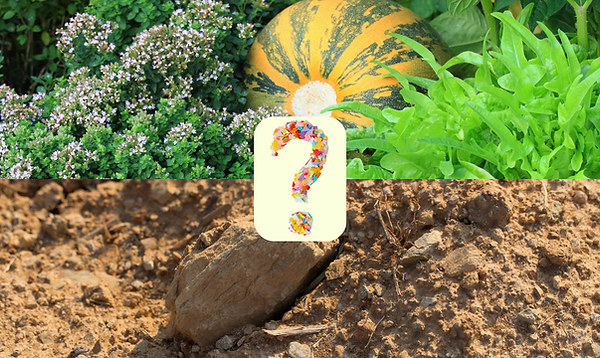 Appauvrissement des sols | Alimentation Consciente