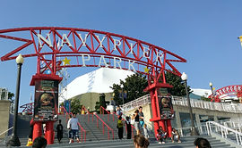 Chicago City Tour |  ОБЗОРНЫЙ ТУР ПО ЧИКАГО С РУССКОЯЗЫЧНЫМ ГИДОМ