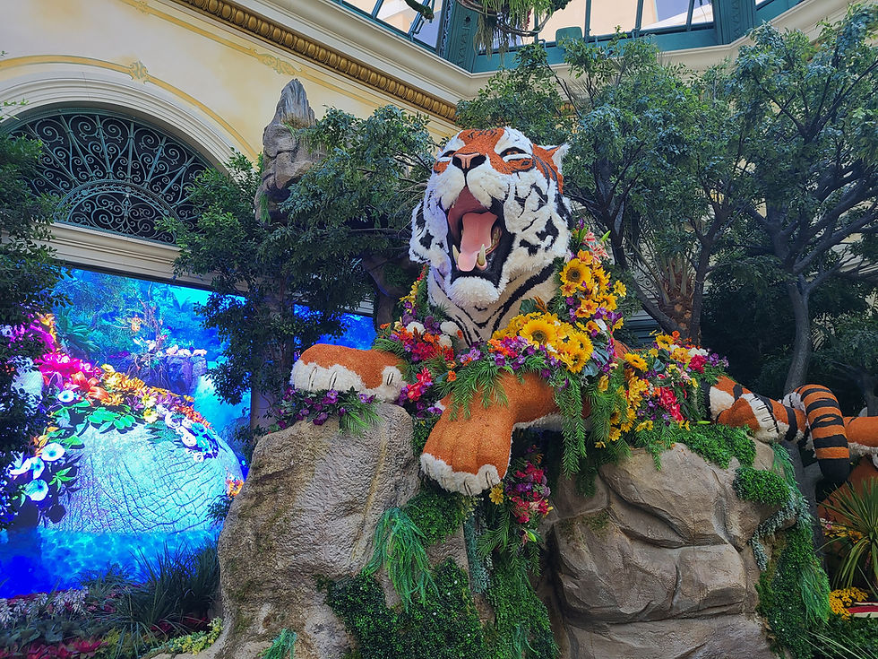 Bellagio Conservatory & Botanical Gardens