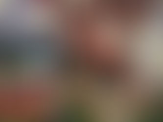 Lunar New Year Magic at The Palazzo & Venetian: Celebrating the Year of the Fire Horse in Las Vegas.