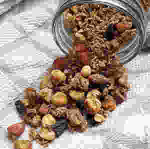 Crunchy Chocolate Chunk Protein Granola Recipe Rawsome Reviews