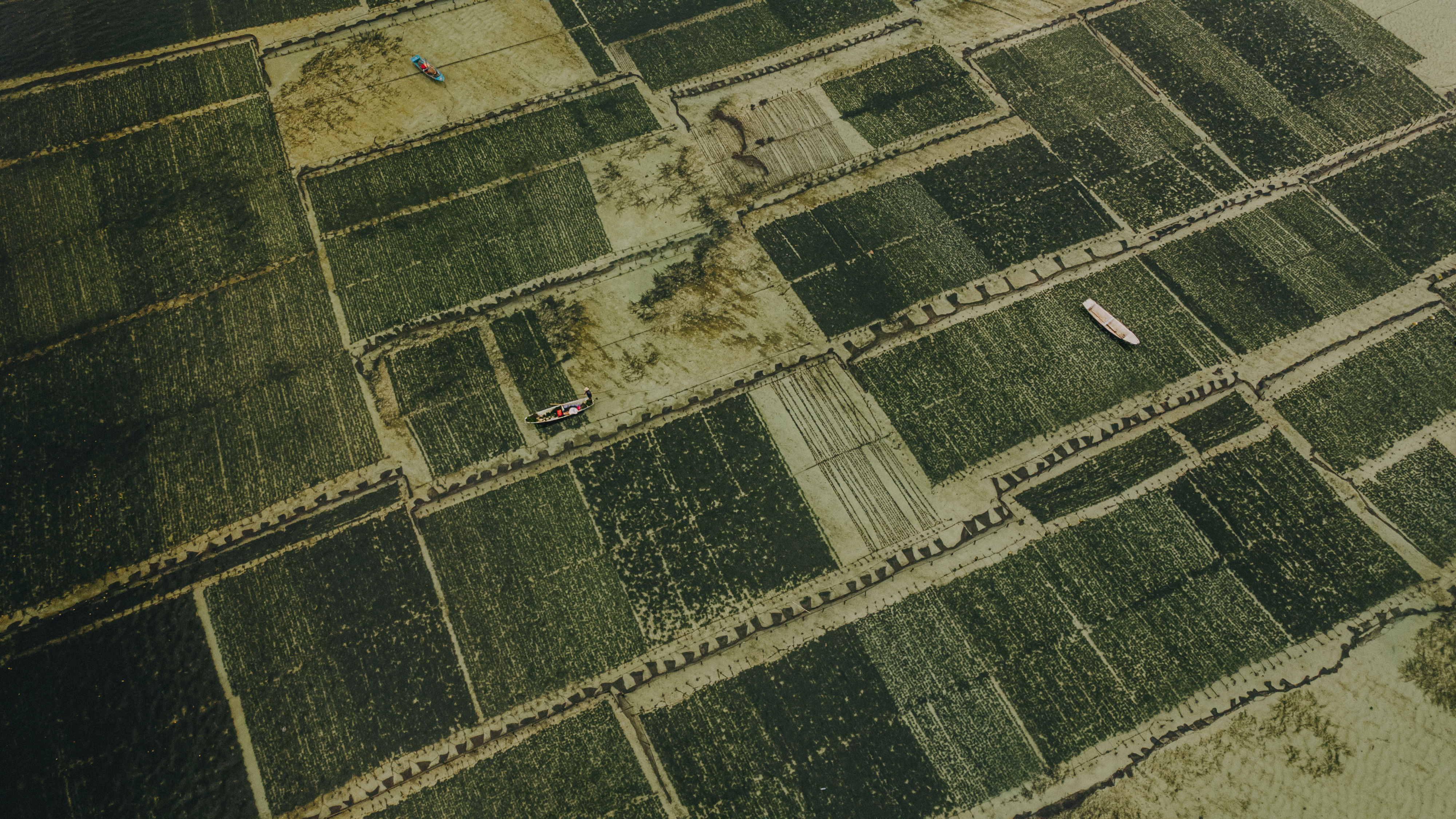 Patterns of the Tide – Seaweed Farms of Lembongan