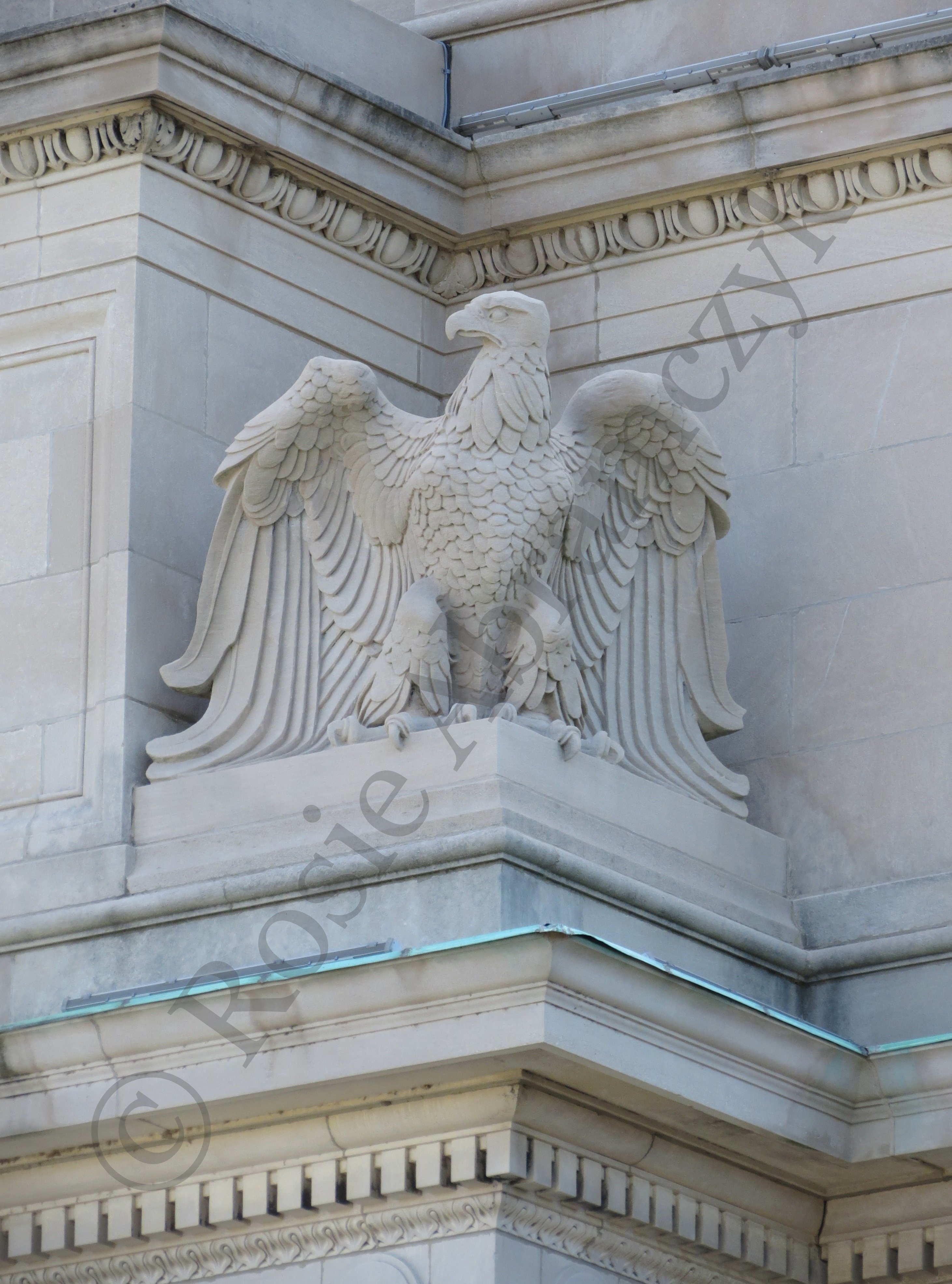 Eagle at The Missouri History Museum, by Rosie Abramczyk, Photo, 2013
