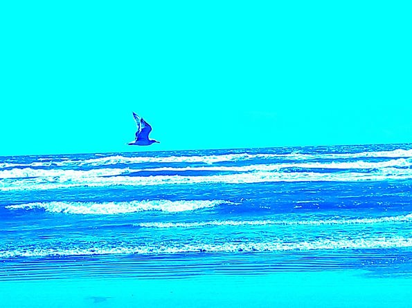 20210819_141913.jpg