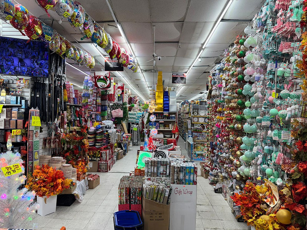 WhatsApp Image 2025-11-30 at 5.00.47 PM