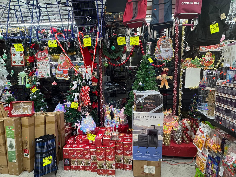 WhatsApp Image 2025-11-30 at 5.00.48 PM (6)