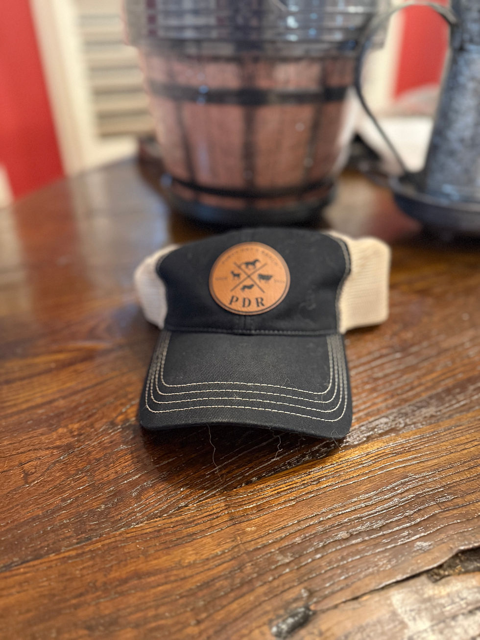 Thumbnail: Hats