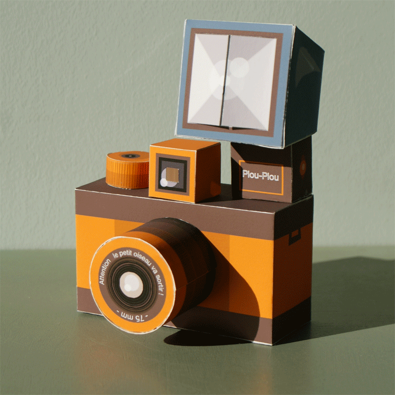 appareil-photo-oiseau
