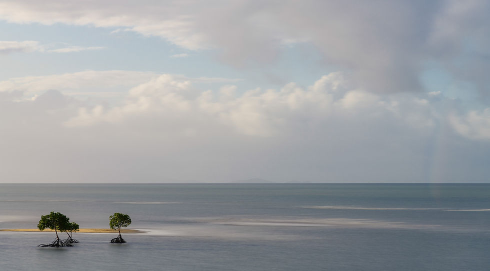 Yule Point Port Douglas