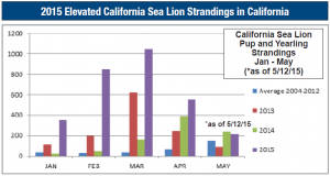 Sea Lion Strandings Chart