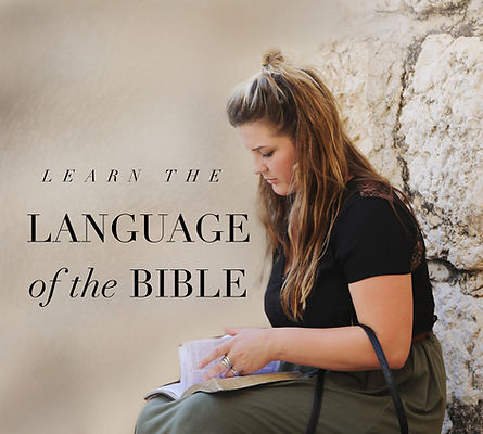 learn the language of the bible.JPG