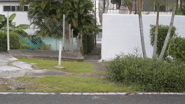 ezgif.com-gif-maker (4).gif