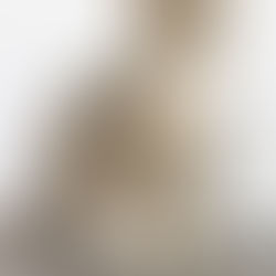 Brown and grey tabby cat