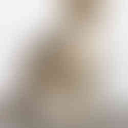 Brown and grey tabby cat