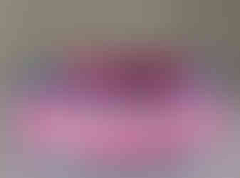 customer collar hot pink and aqua for kipper in big white letters