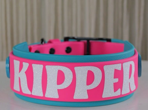 customer collar hot pink and aqua for kipper in big white letters