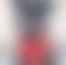 Black hound mix with flopped over ears