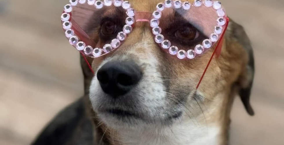 Adoptable Jess wearing heart shaped sunglasses