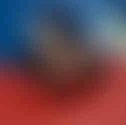 Floor time with two puppies