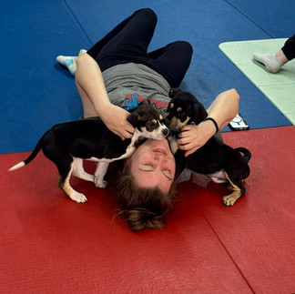 Floor time with two puppies