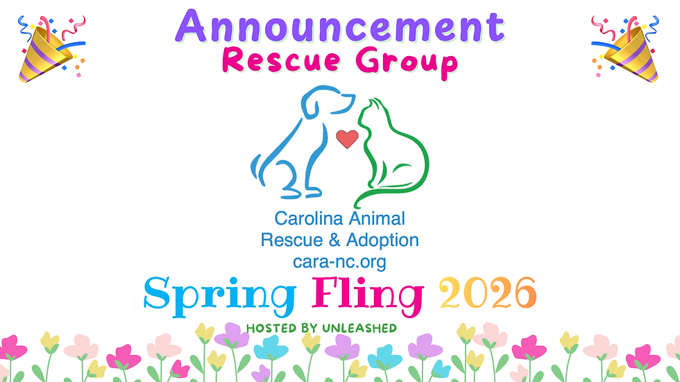 Carolina Animal Rescue and Adoption Logo Banner