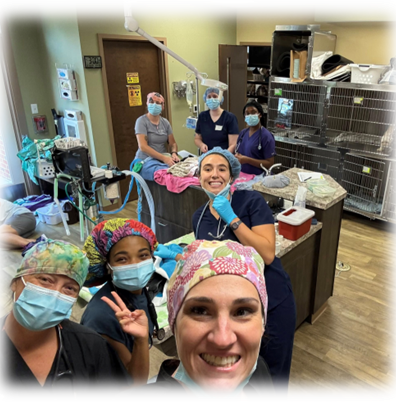 Animal Aid Alliance in Action