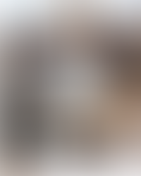 Blula Leash with outlines of birds pattern