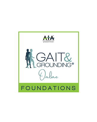 Gait & Grounding Foundations Online