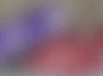 swirly purple and red heart collars