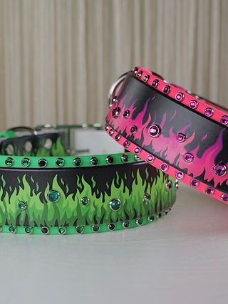 collars with hot pink and bright green flames