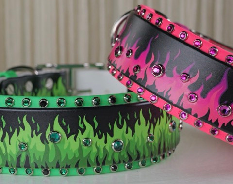 collars with hot pink and bright green flames